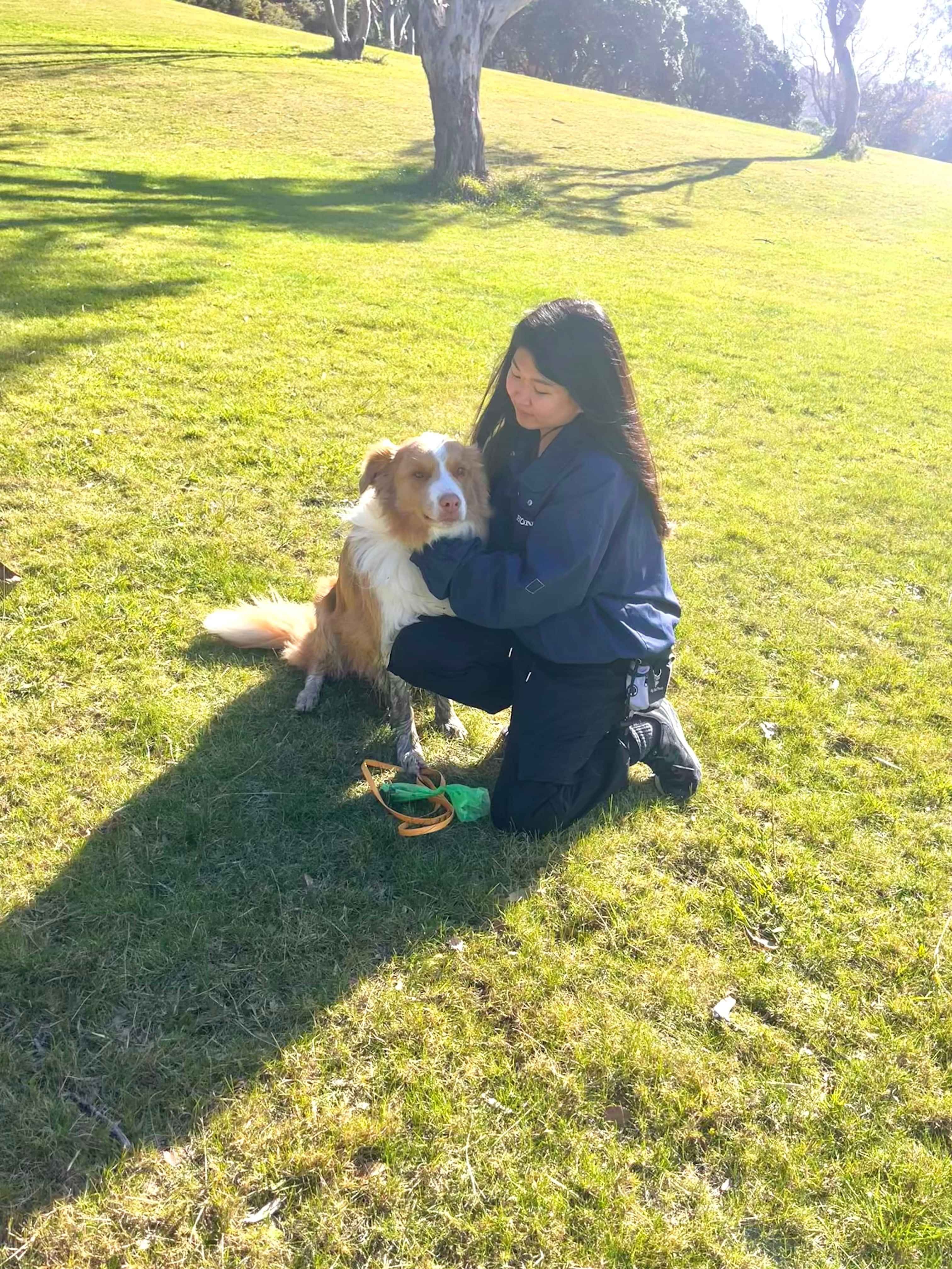 Dog trainer Abi and her springer spaniel dog