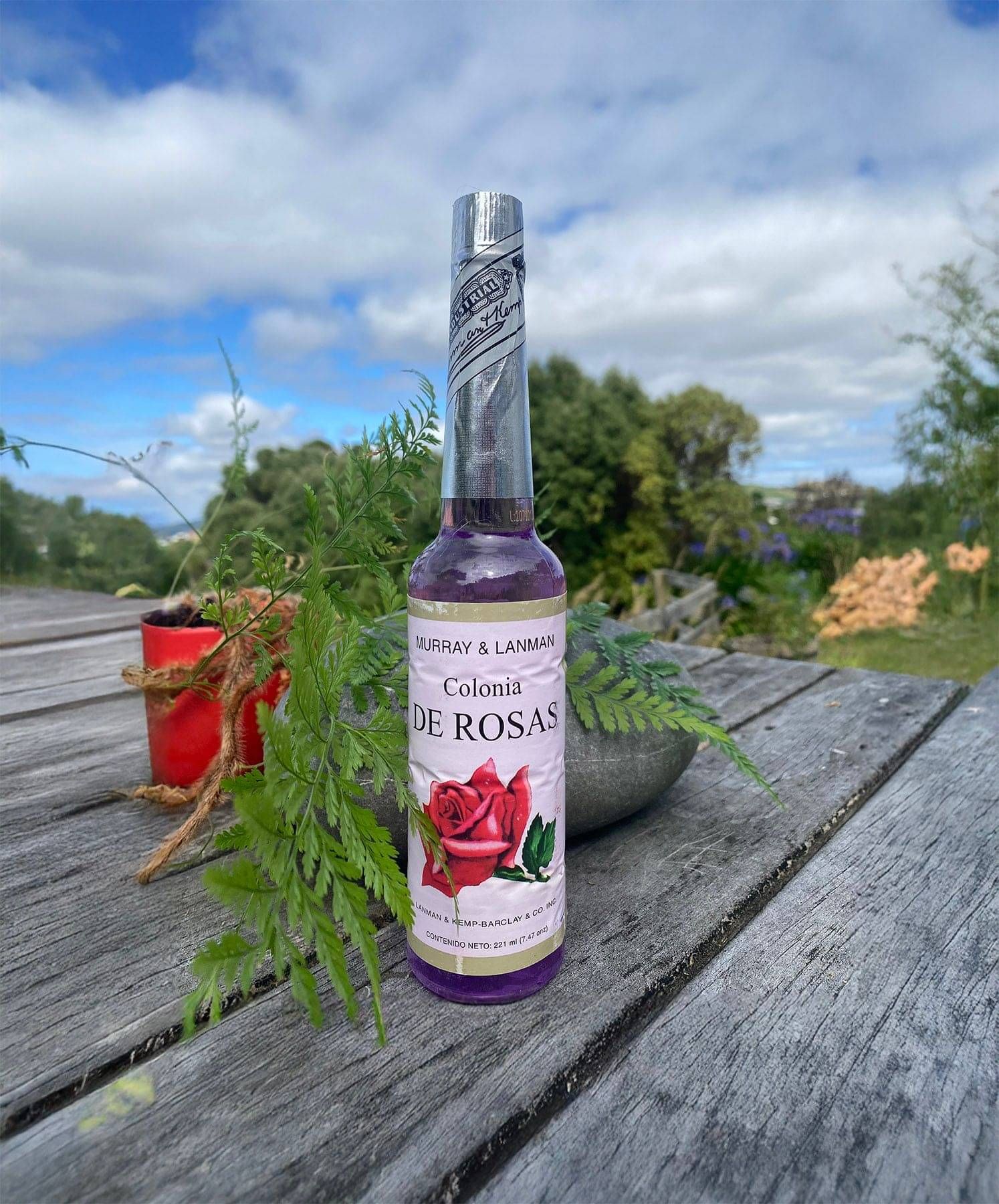 Murray & Lanman Colonia de Rosas
