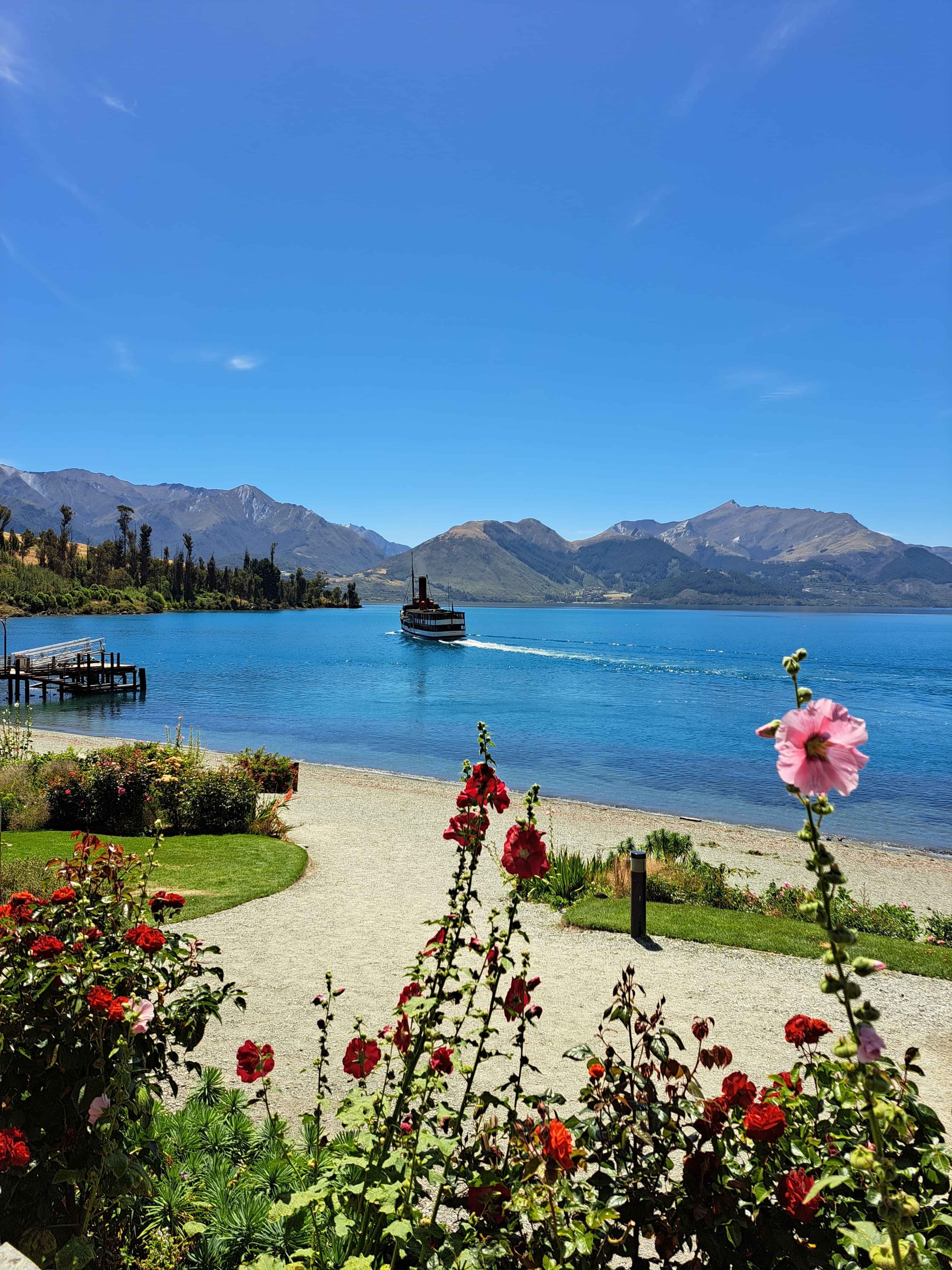 Scenic view from the lake shore watching a steamboat depart. Flowers in the foreground.