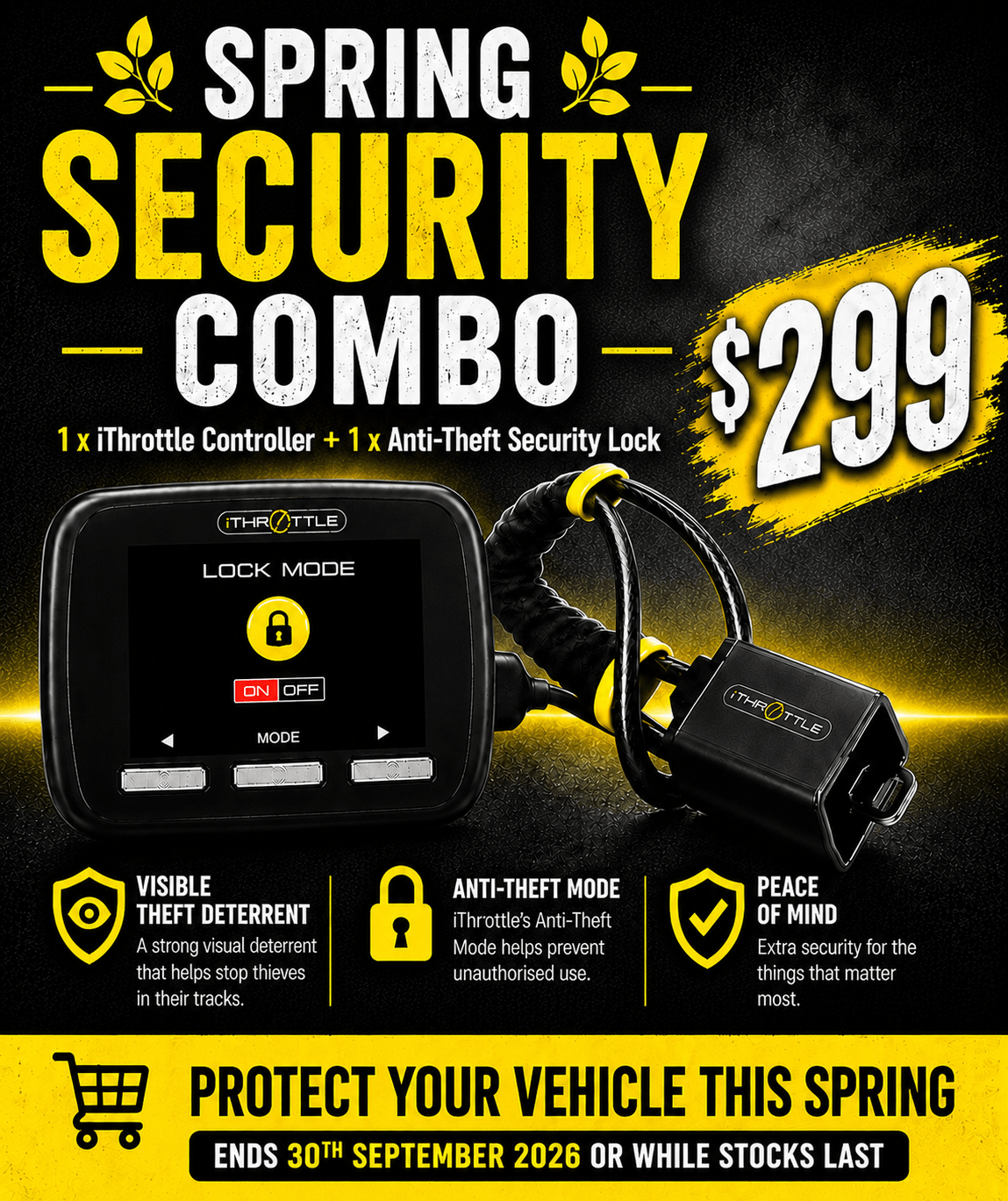 Anti-Theft Steering Lock