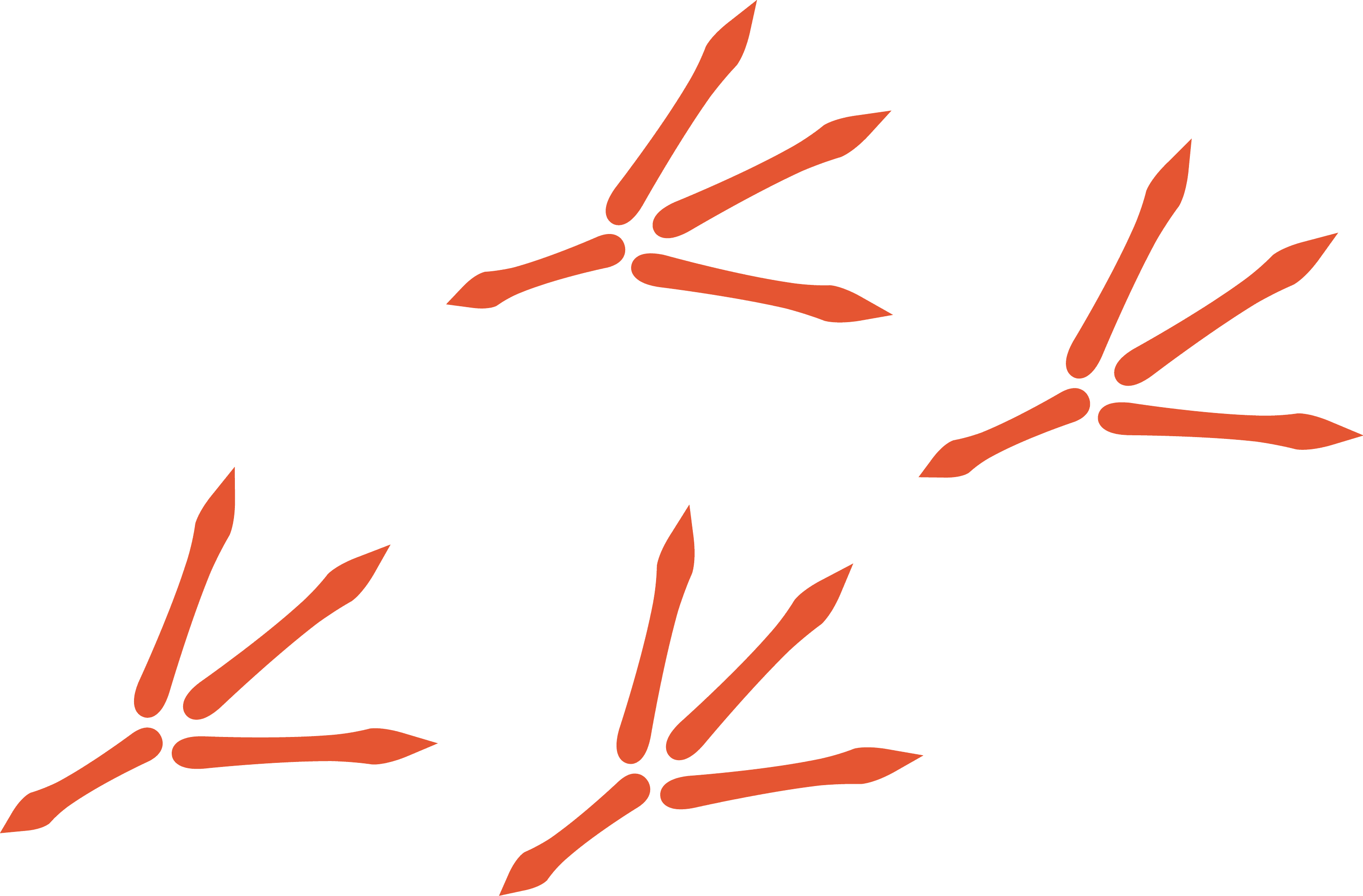 Image of hand drawn stylised red Pukeho feet