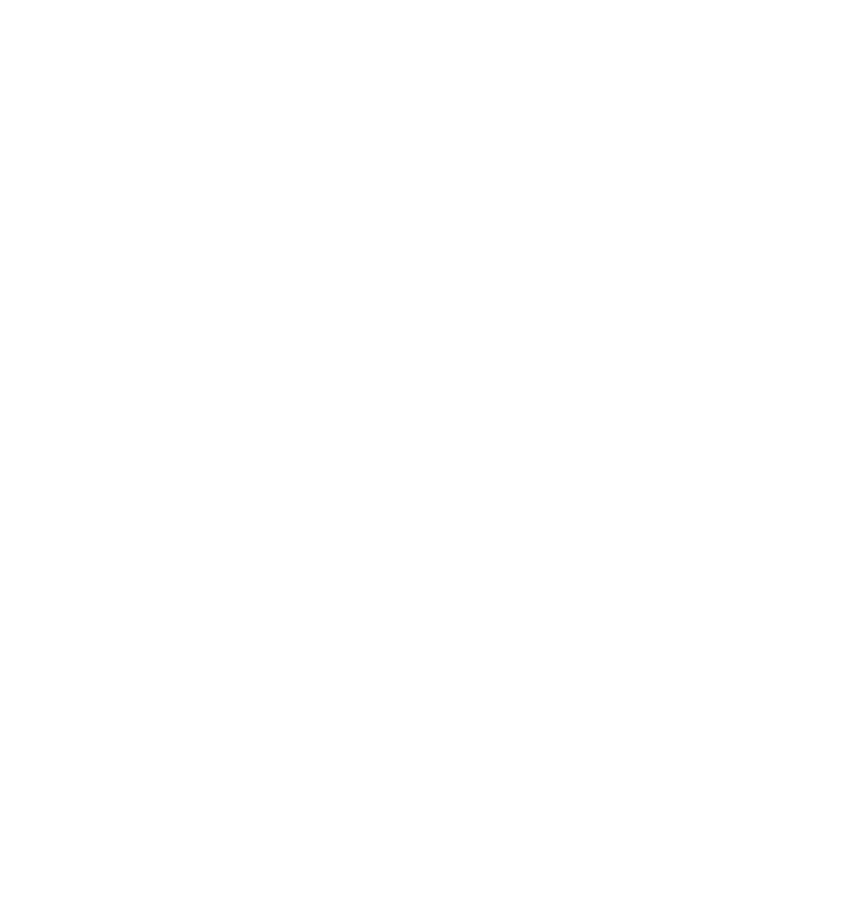 Image of hand drawn stylised white Pukeho feet