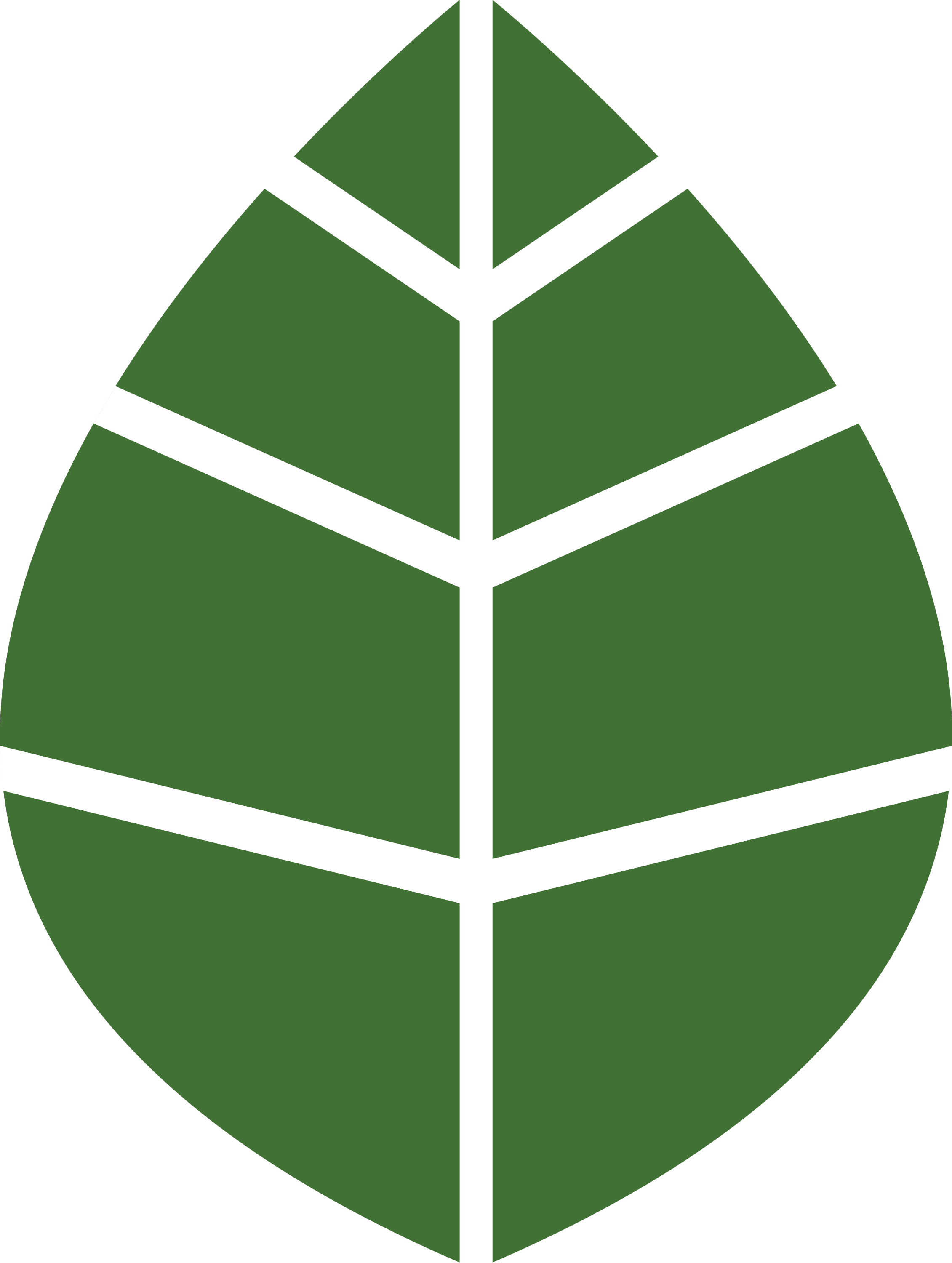 Image of hand drawn stylised leaf in green.