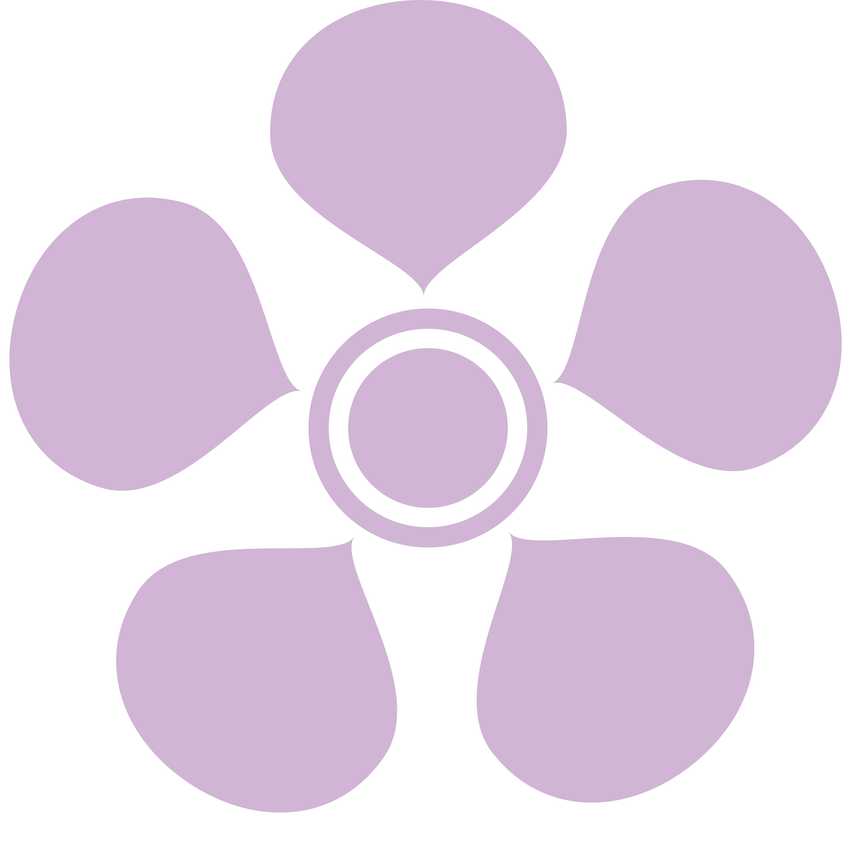 Image of hand drawn stylised manuka flower in purple.