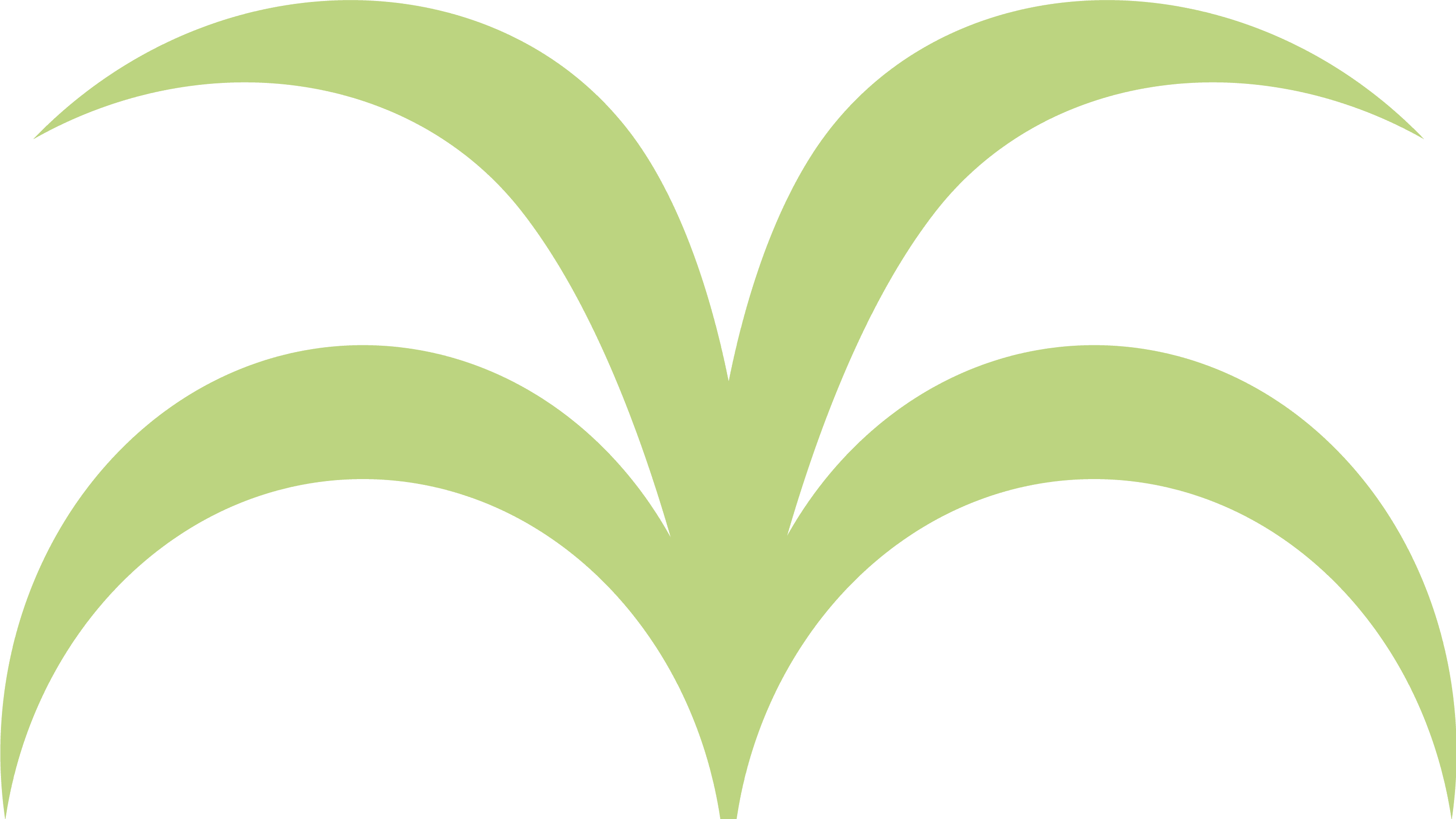 Image of hand drawn stylised flax in green.