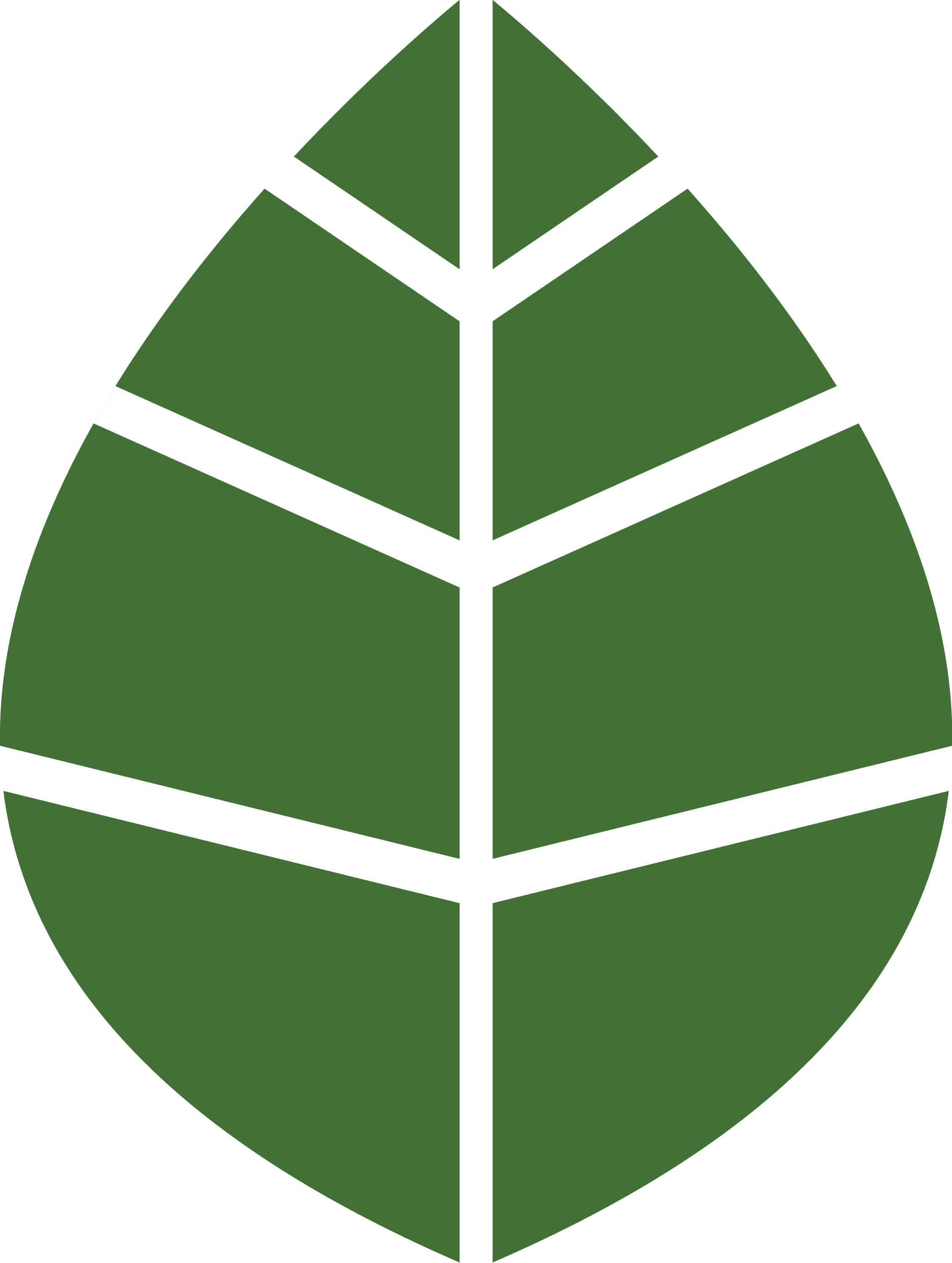 Image of hand drawn stylised leaf in green.