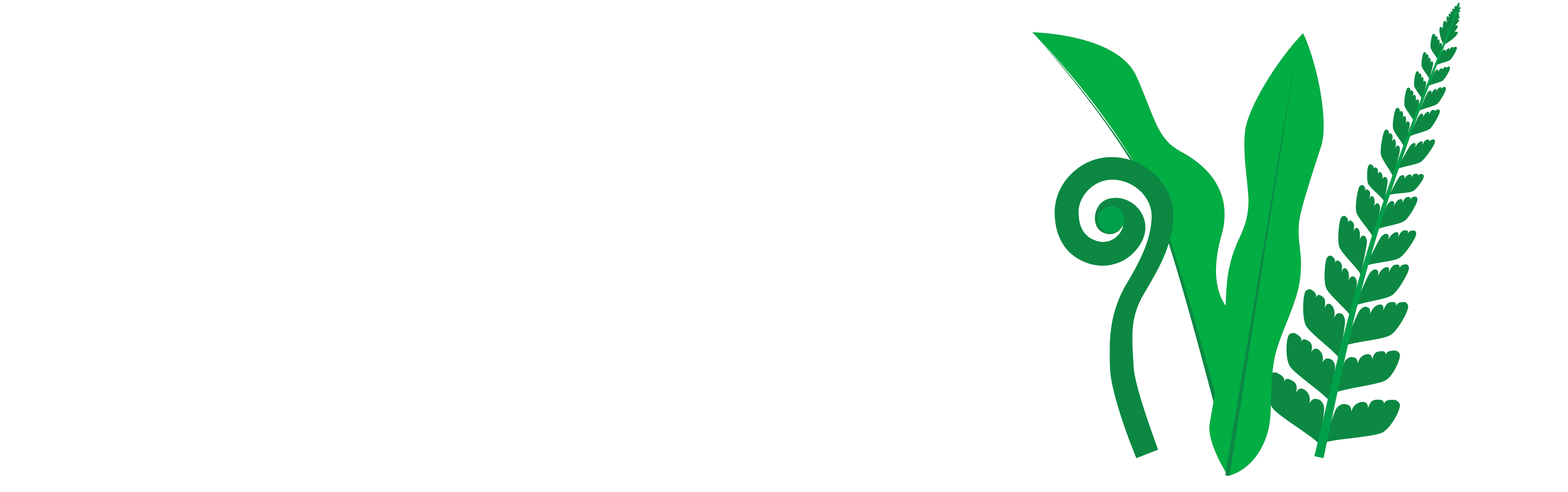 nurturing growth and new beginnings