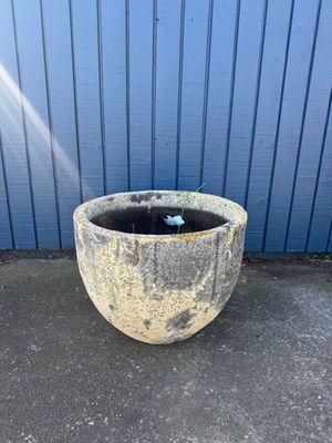 Egg Planter - XL