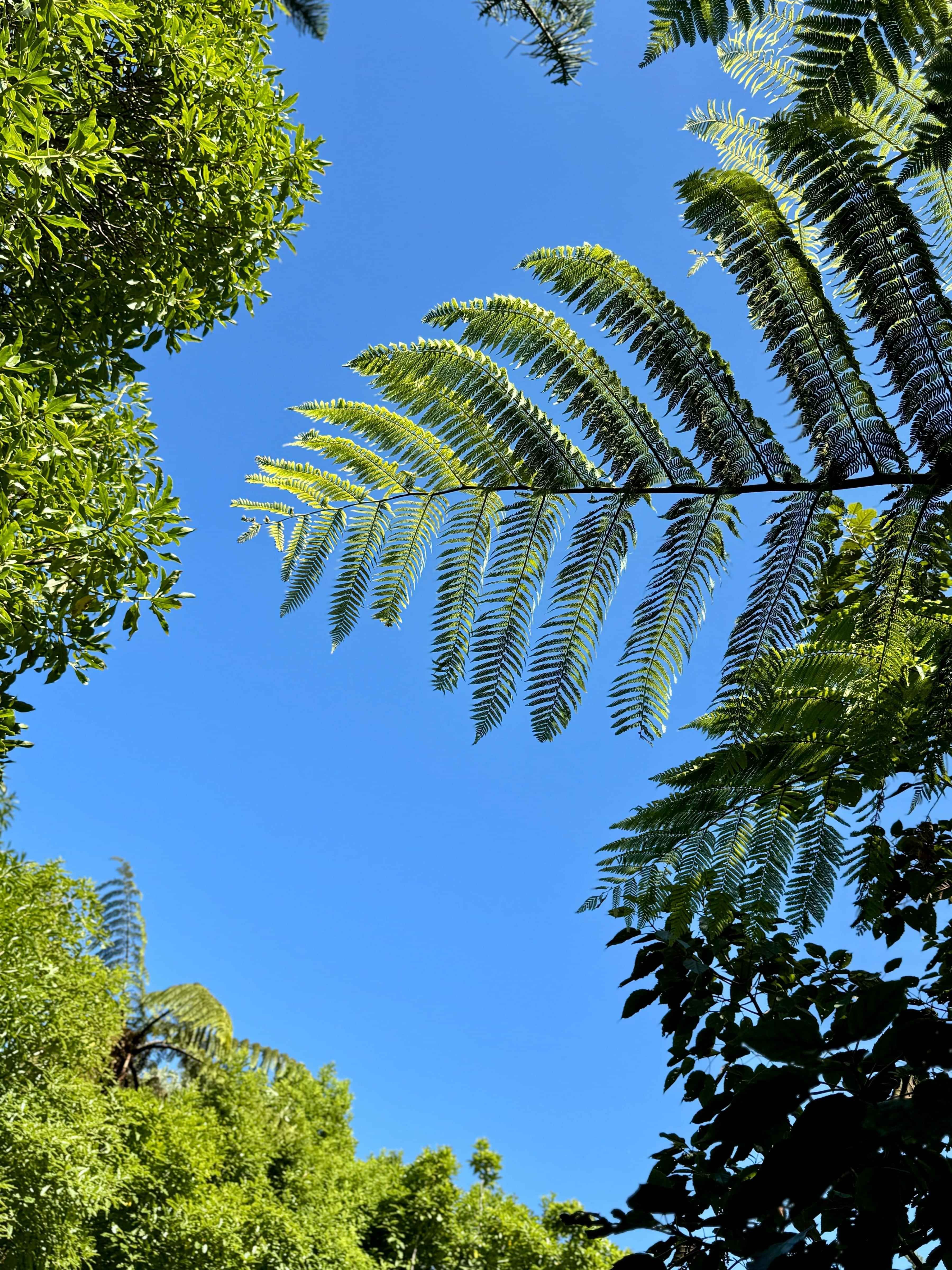 ADHD coaching for adults in Wellington or online