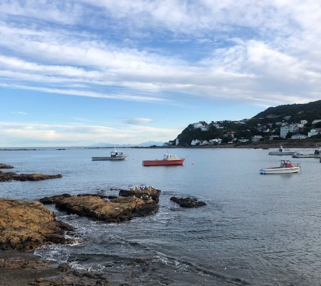 Mental health coaching for adults in Wellington or online