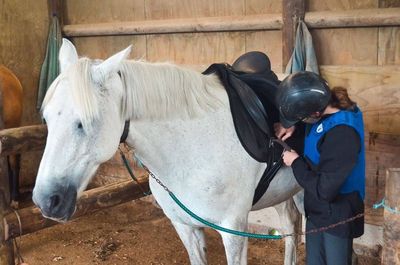 Horse Riding | Sonshine Ranch