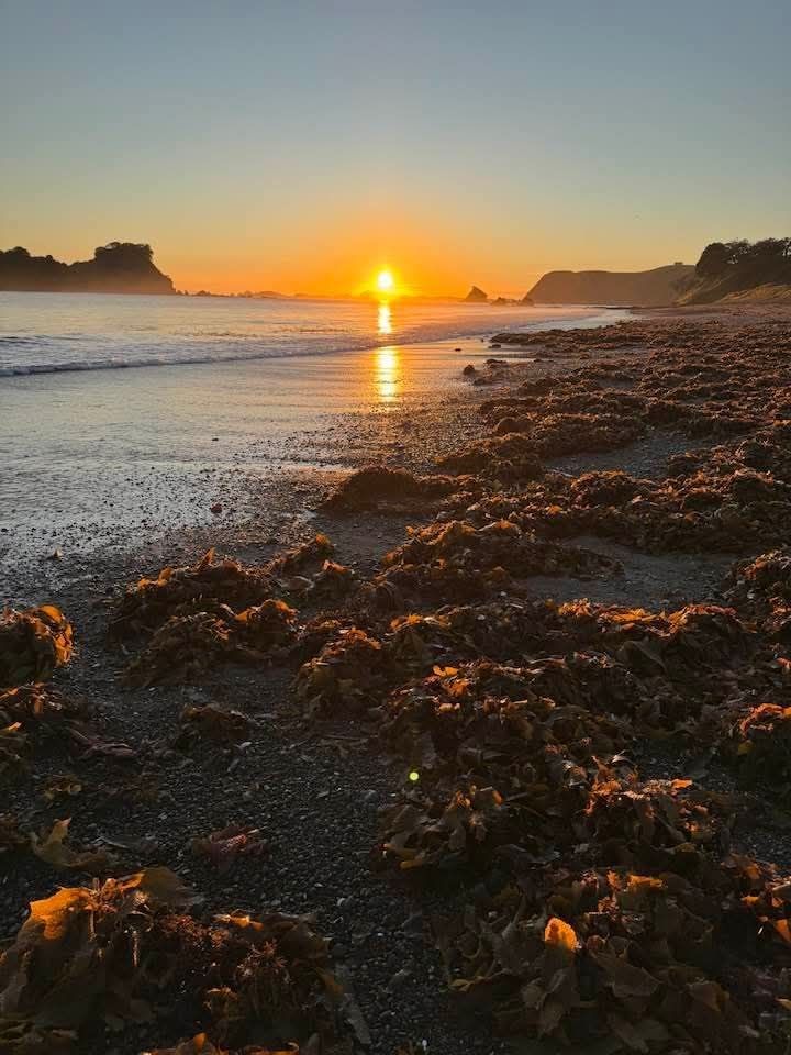 Beach sunset, with person walking faraway. Free support Whangārei, Northland.