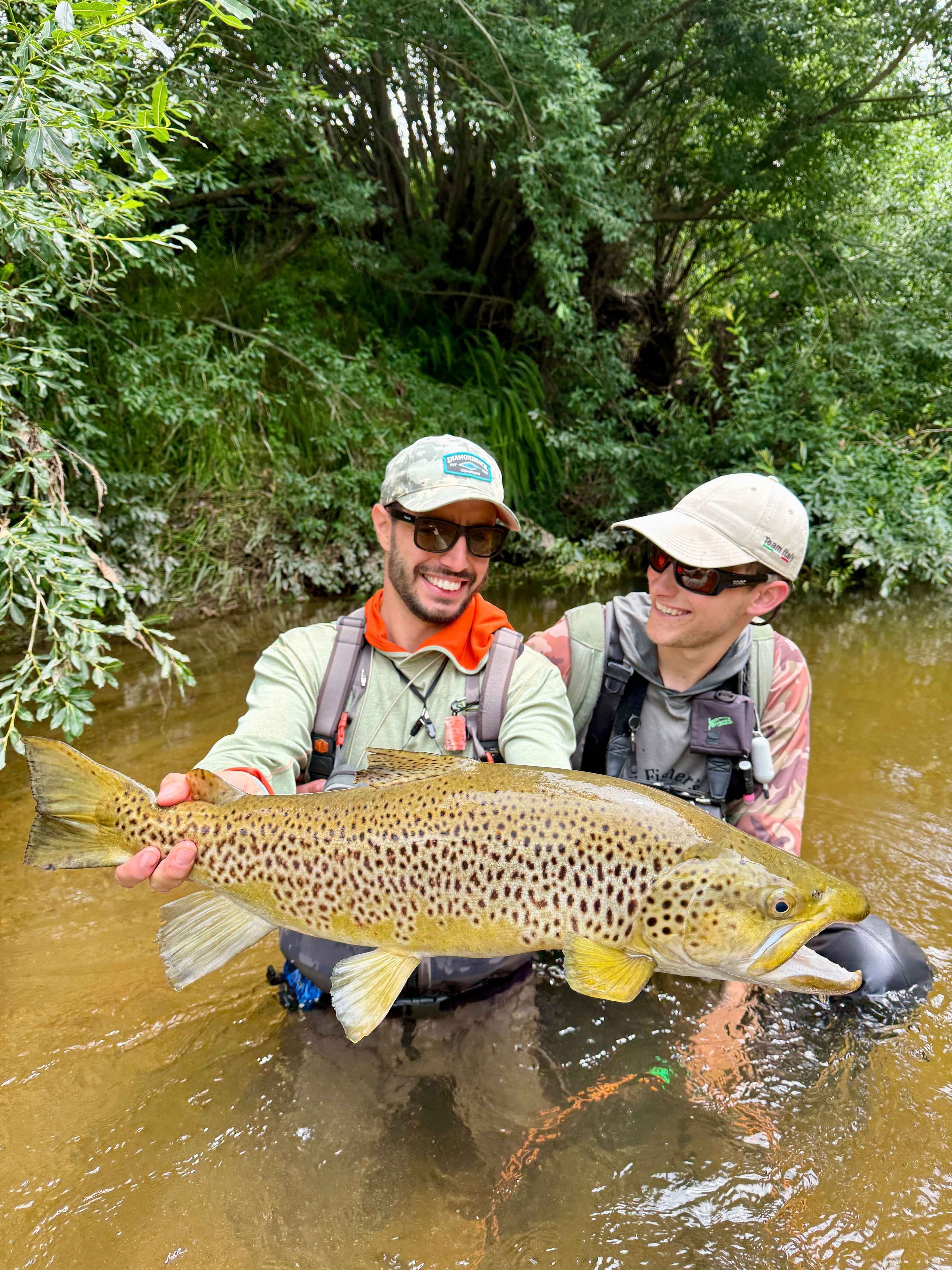 Ollie Bassett Fly Fishing Client with huge Rotorua brown trout fishing