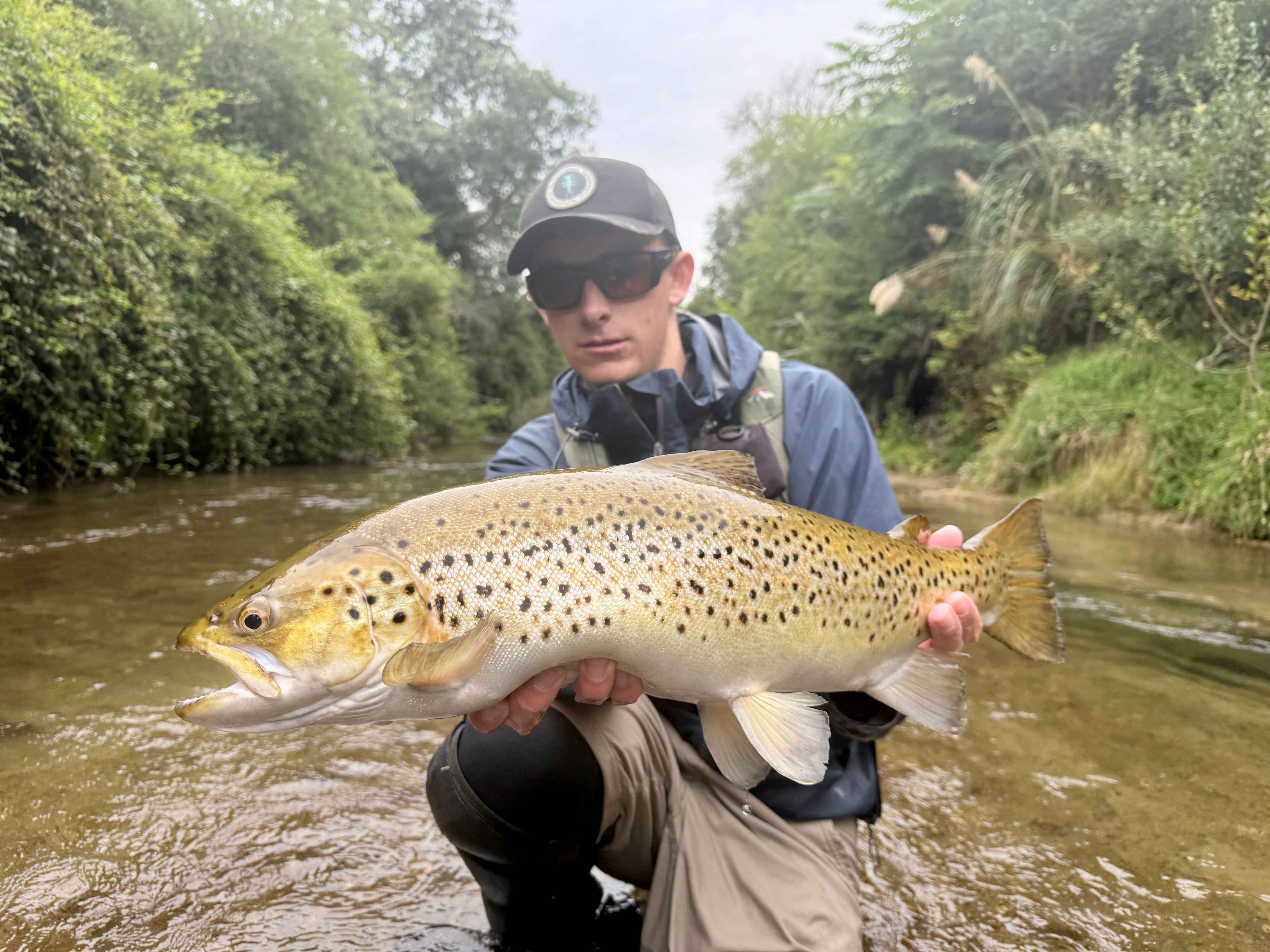 Huge wild brown trout in Rotorua New Zealand