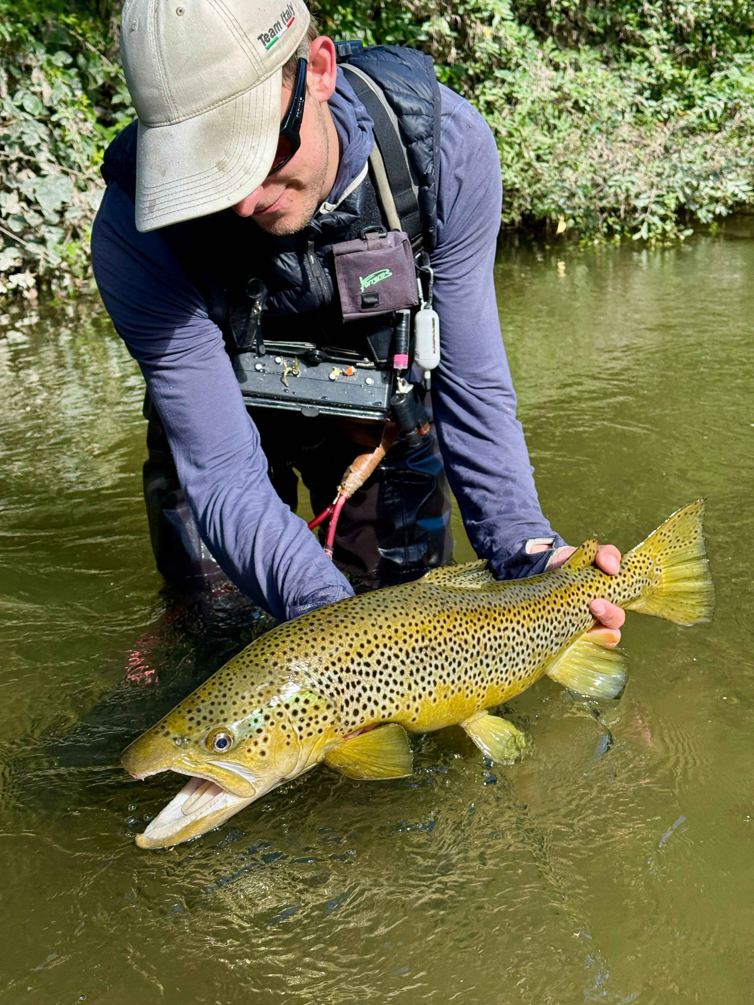 10 pound wild brown trout in Rotorua New Zealand