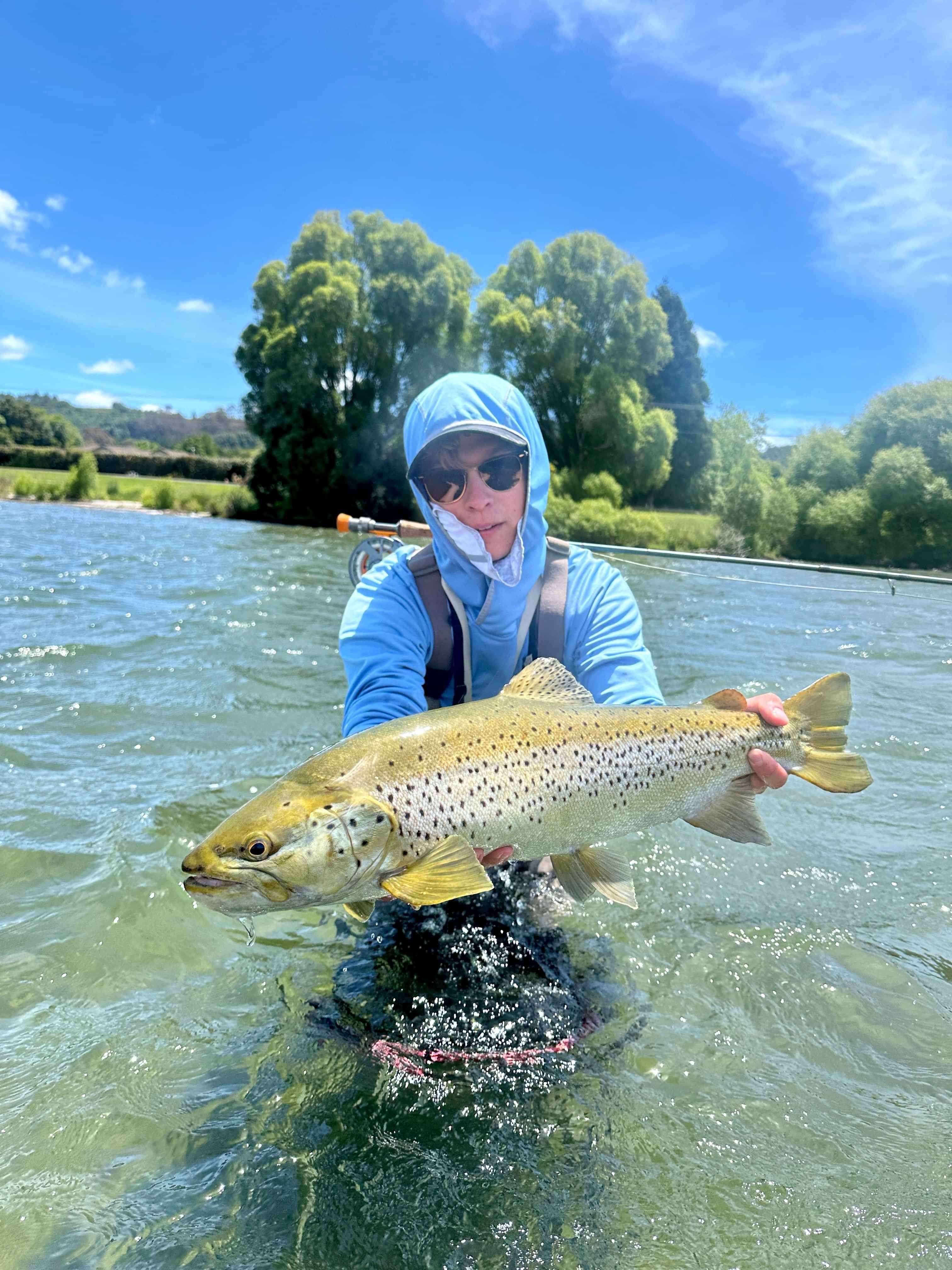Huge Lake Rotorua Brown Trout