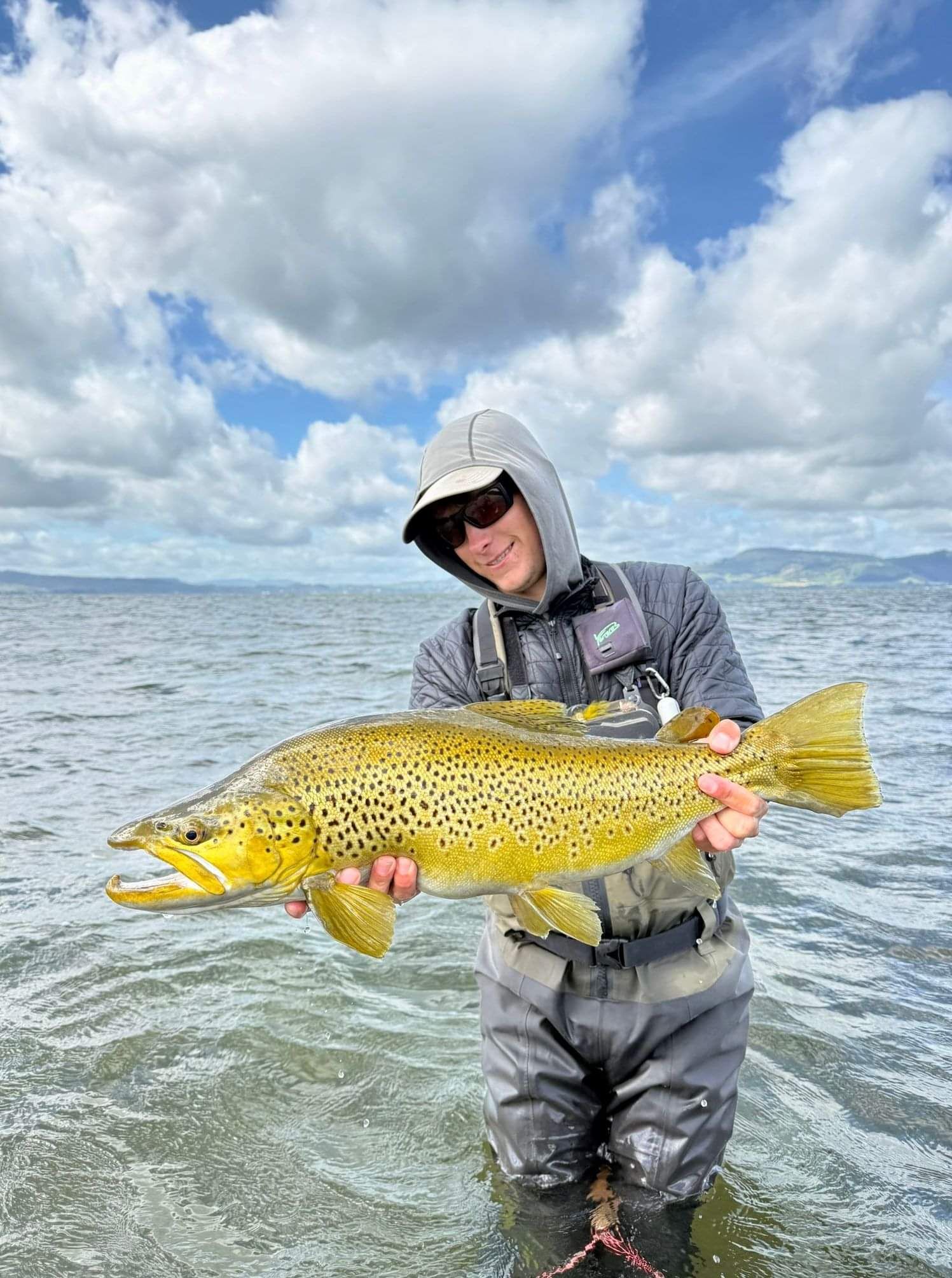 Huge Lake Rotorua Brown Trout