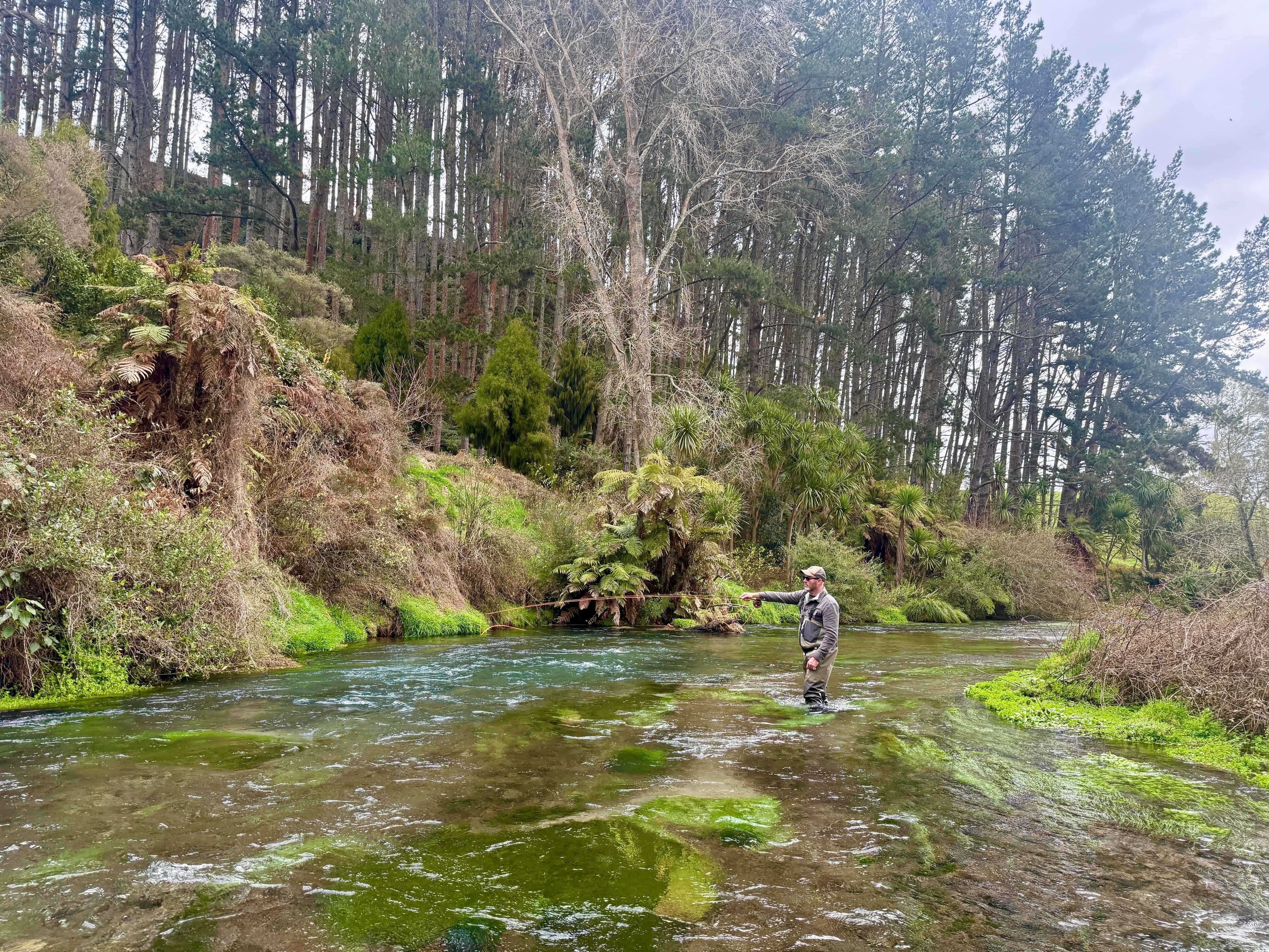 South Waikato winter spring creek fly fishing
