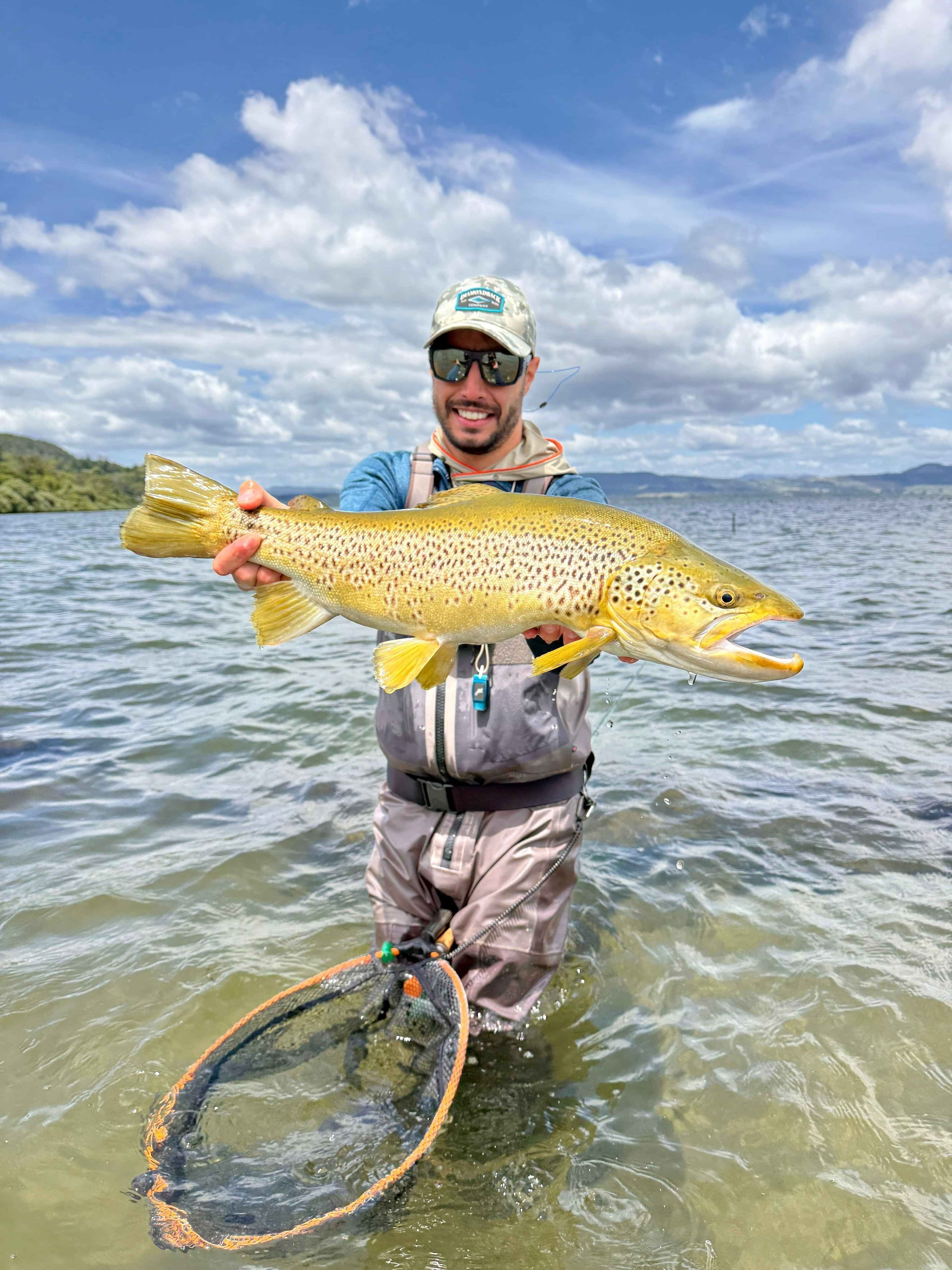 Trophy brown trout on the flats Ollie Bassett Fly Fishing Guiding Rotorua