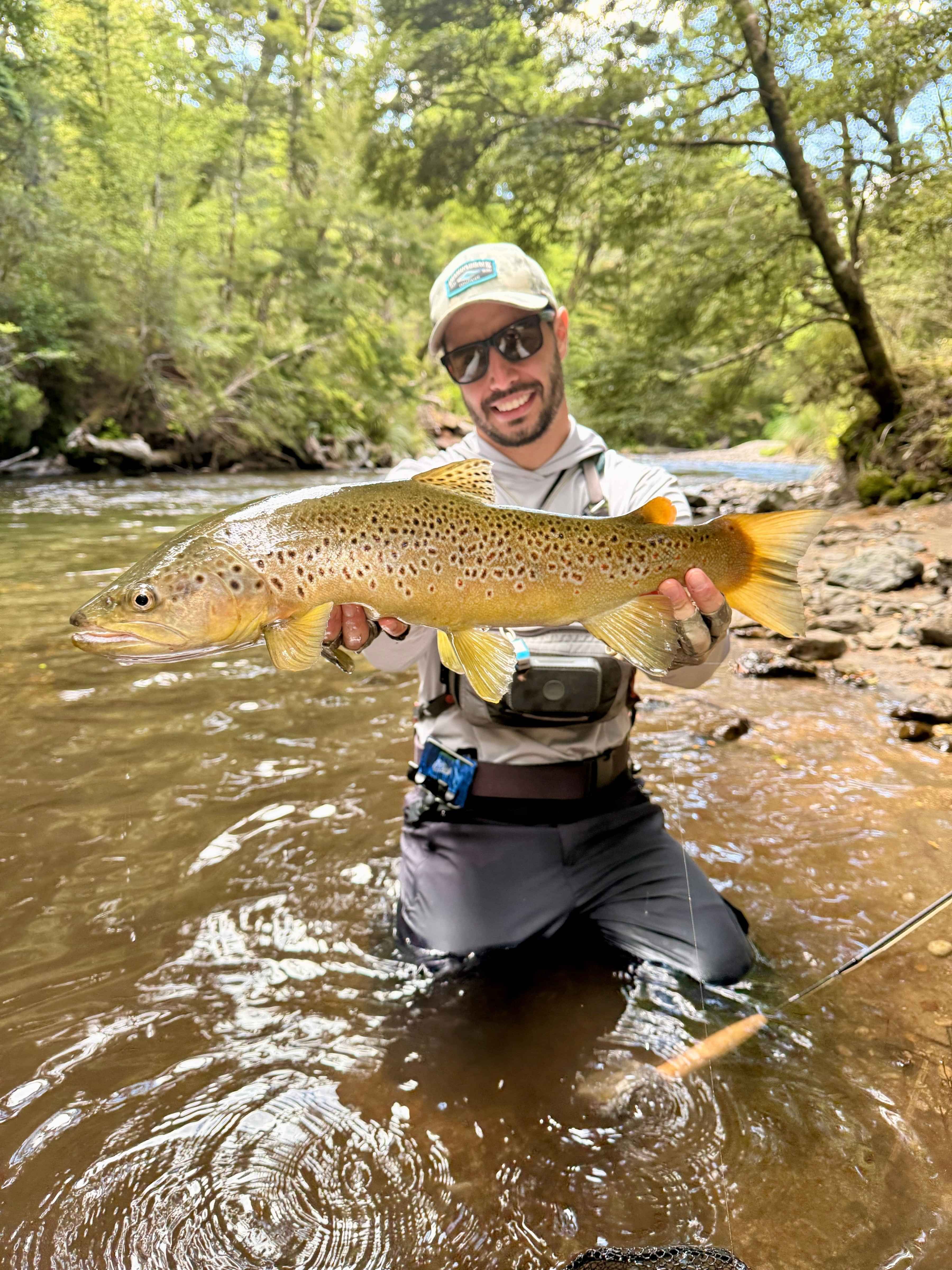 North Island New Zealand Backcountry Brown Trout