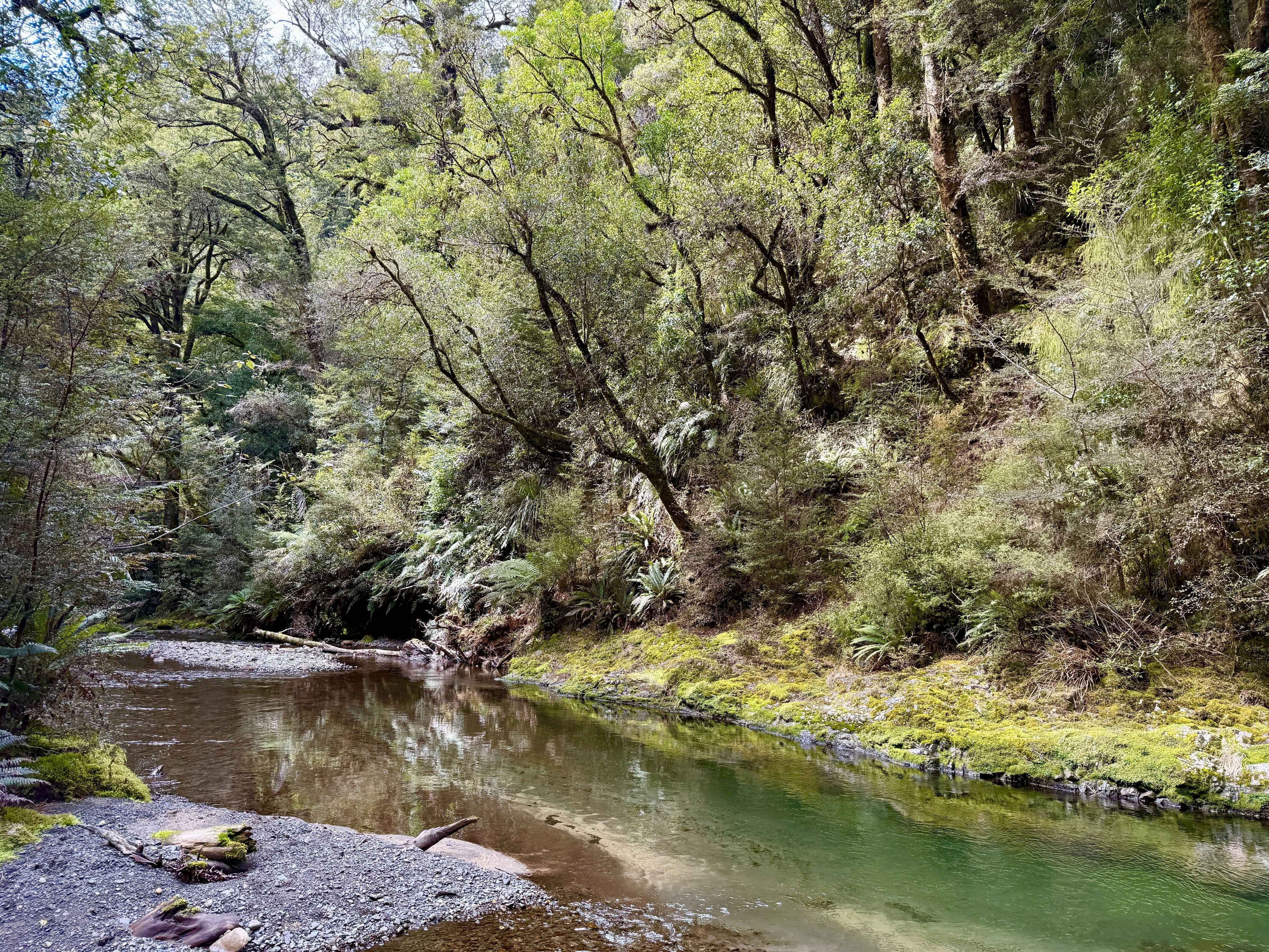 Beautiful New Zealand Backcountry river