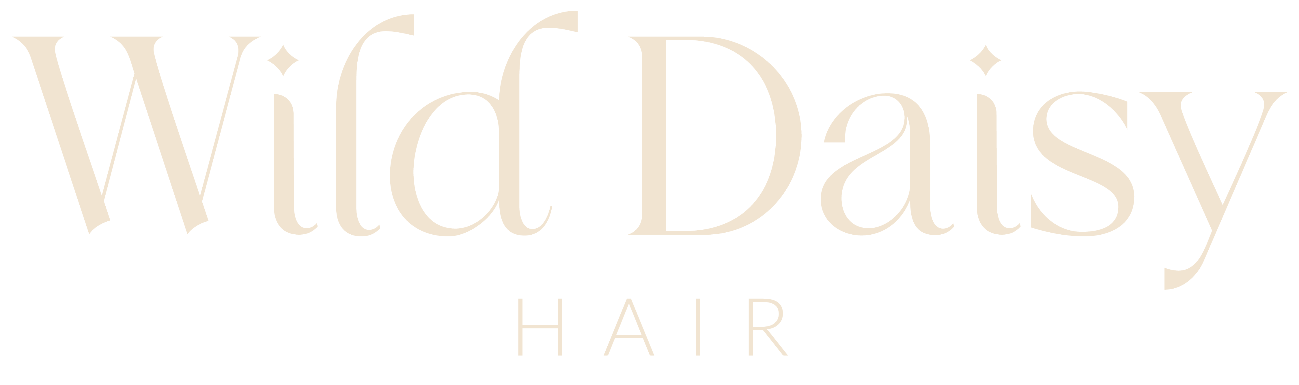 Cream Wild Daisy Hair text logo