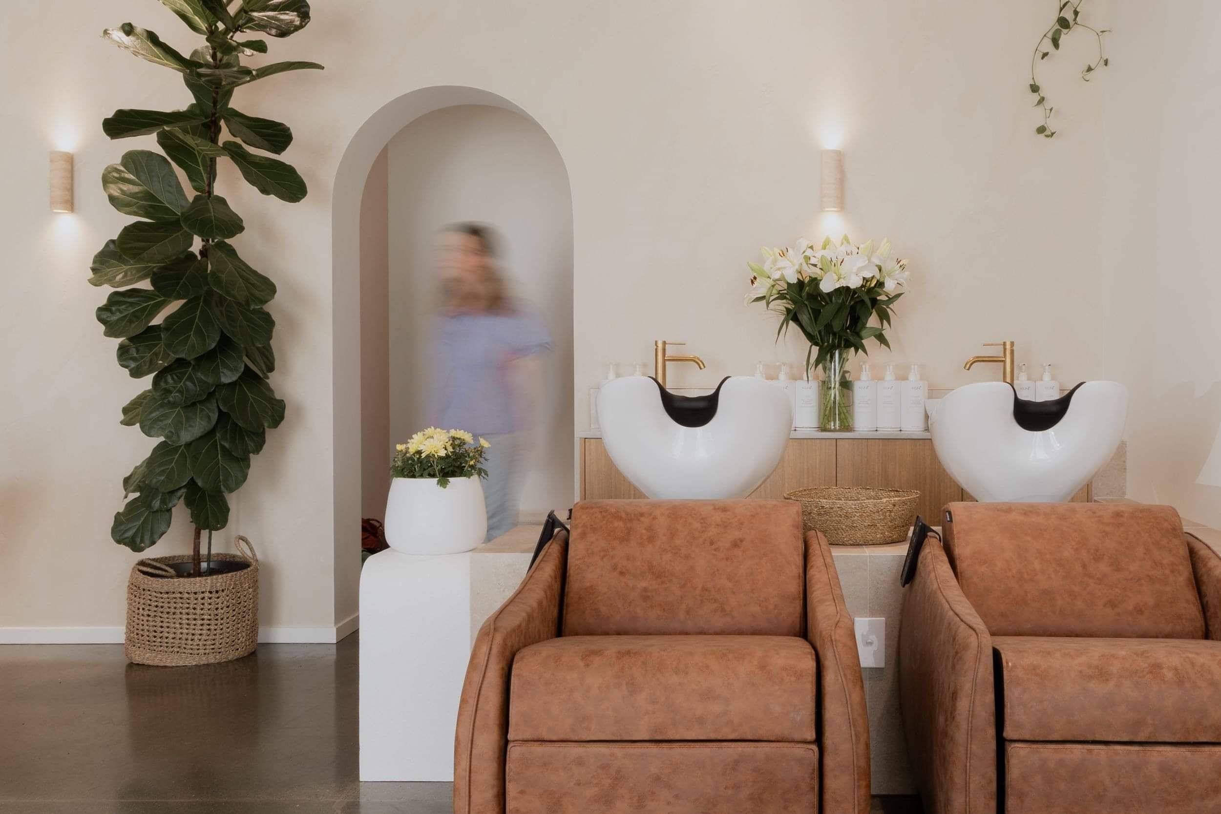 Wild Daisy Hair Salons cosy interior with beautiful basins, gold tapware, indoor plants and plastered walls.