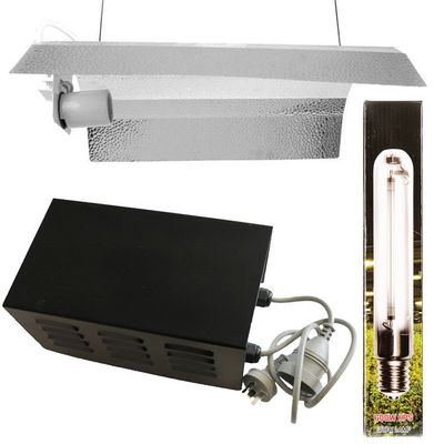 250w Basic Lighting Kit