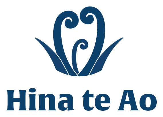AraHina’s Māori strategic planning process icons for Hina te Pō, Hina te Ao, and Hina te Ara — strategy, action, implementation.
