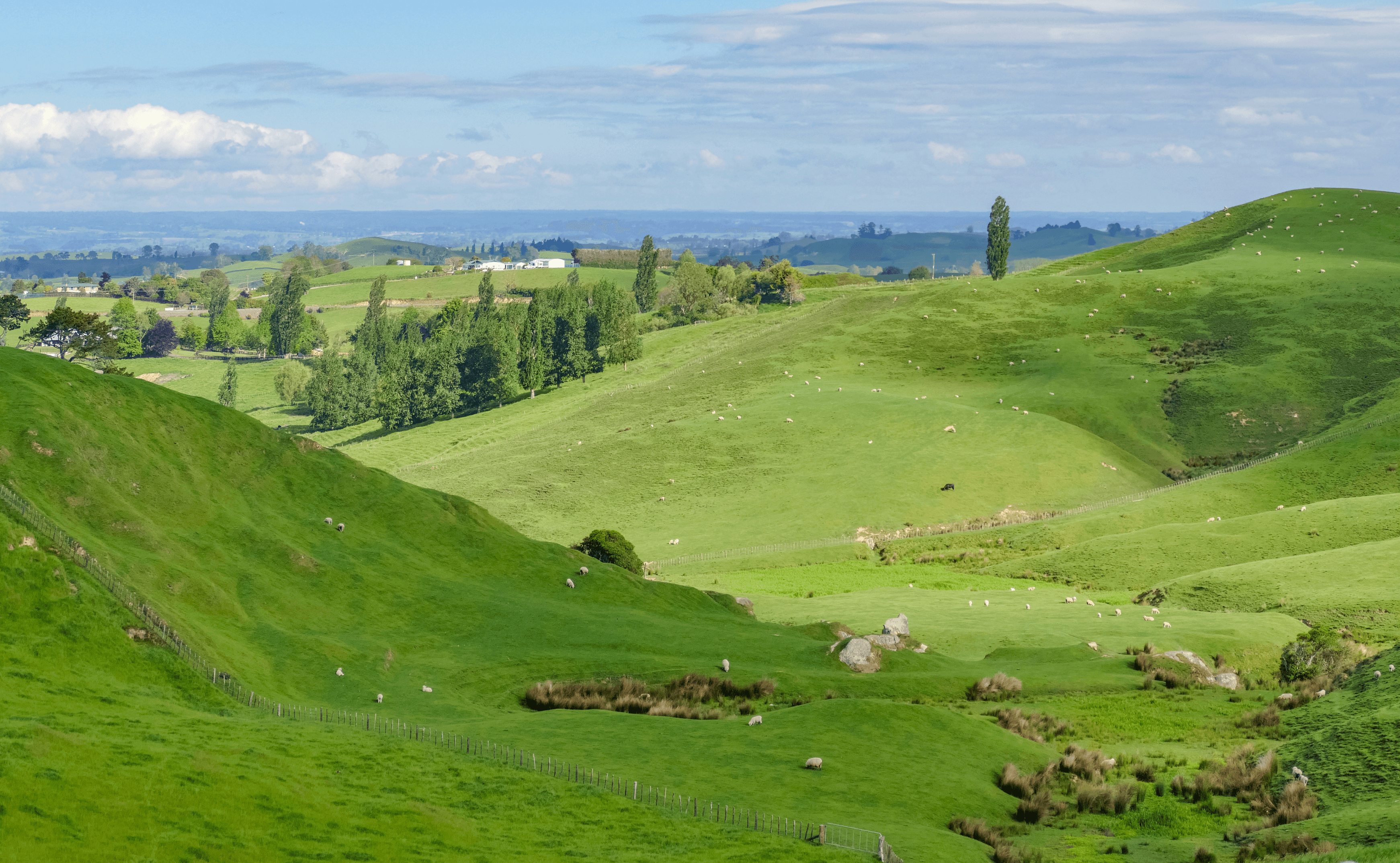 Matamata farmland Waikato chartered accountants Candy Gillespie Matamata