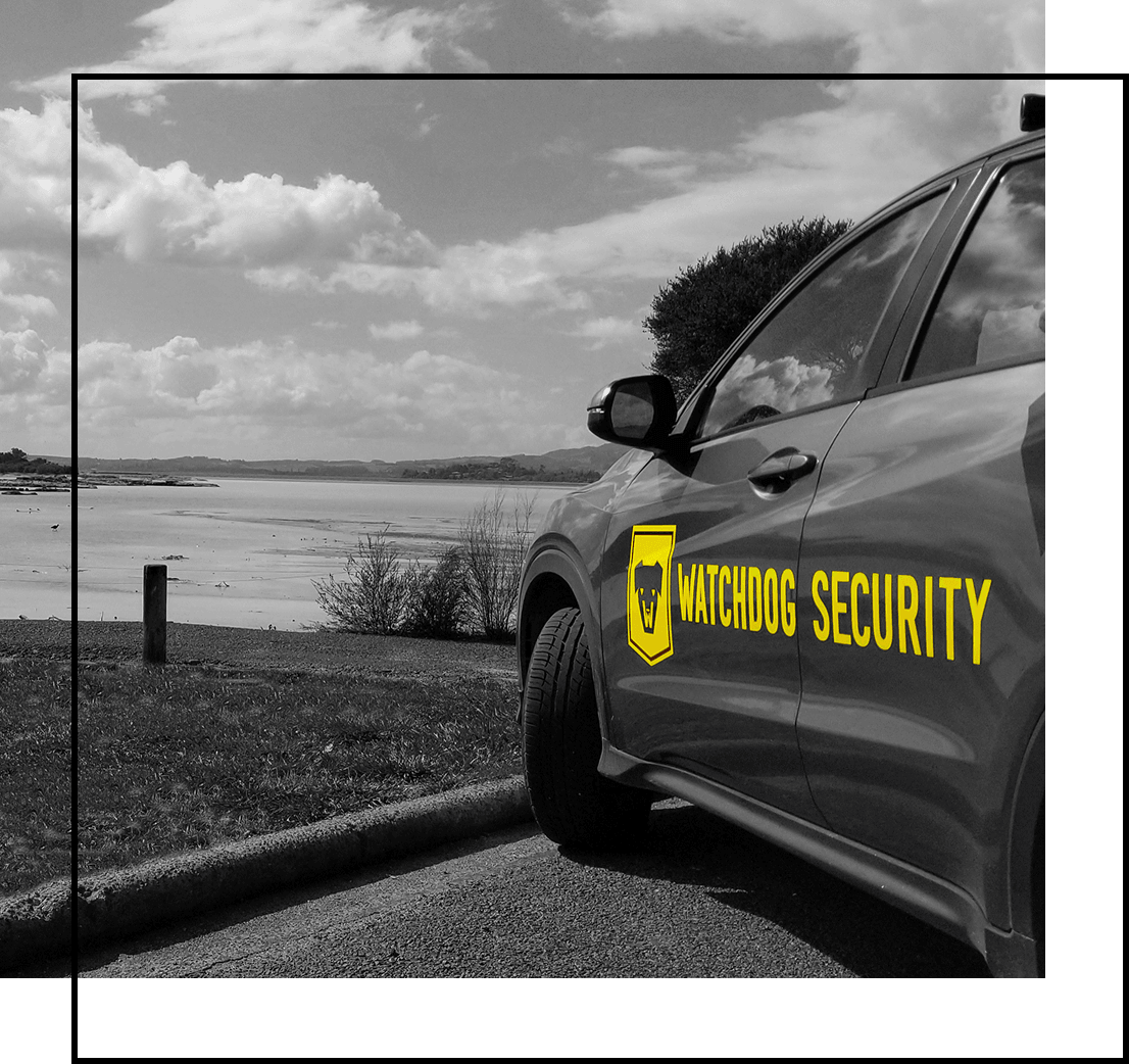 Watchdog Security overlooking the bay in Tauranga