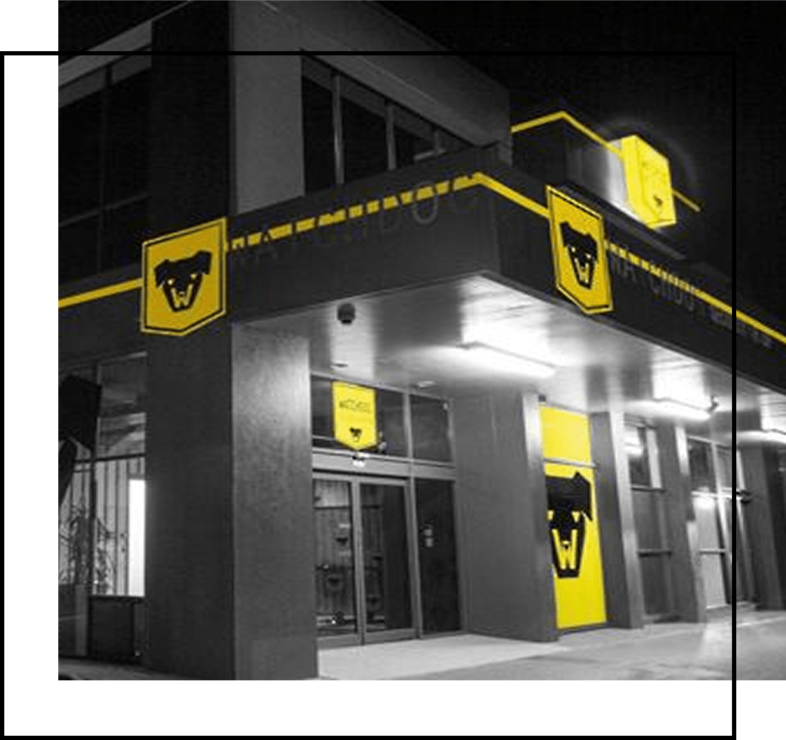 Watchdog Security Building