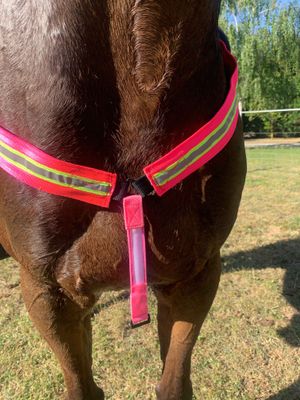Horse Hi-Vis Breastplate