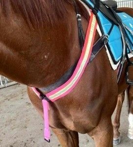 Pony Hi-Vis Breastplate