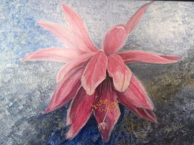 Members: L-Plates Art basics classes for beginner artists with Jan Nalder  (Set of 6 classes)