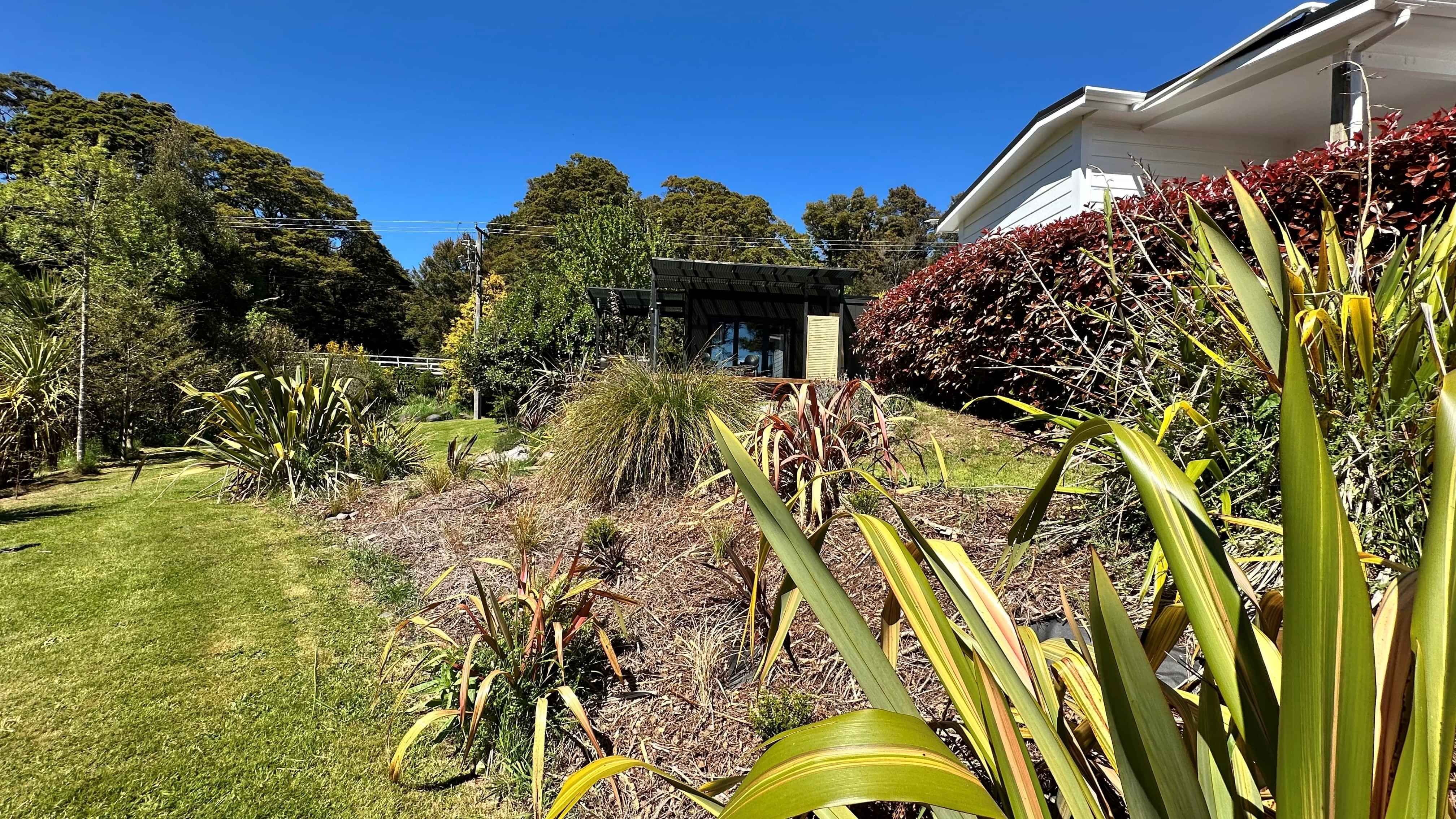 Native gardens on their restoration journey lead the eye to Rua Awa beneath clear blue skies.