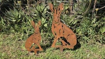 Hare Combo - 1x Small Hare &amp; 1x Large Hare