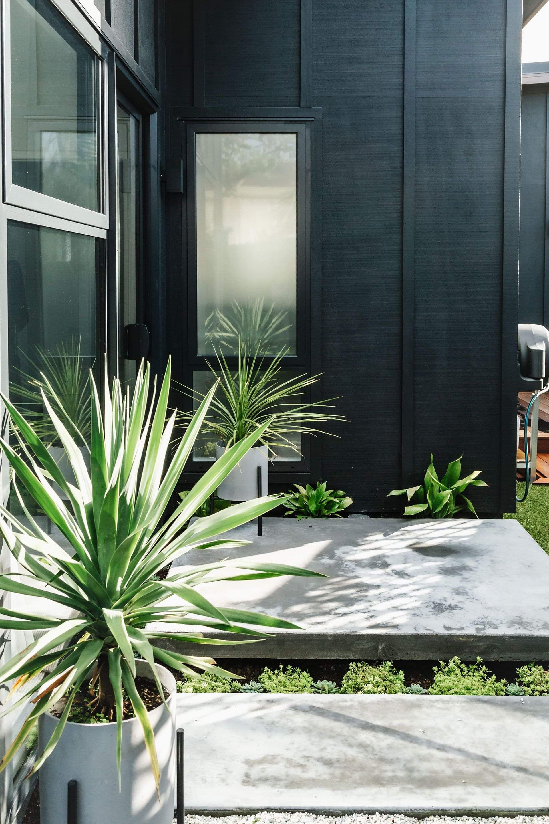 Close-up image of a new home built in Papamoa with new joinery, board and batten cladding, large patio paver, and plants.