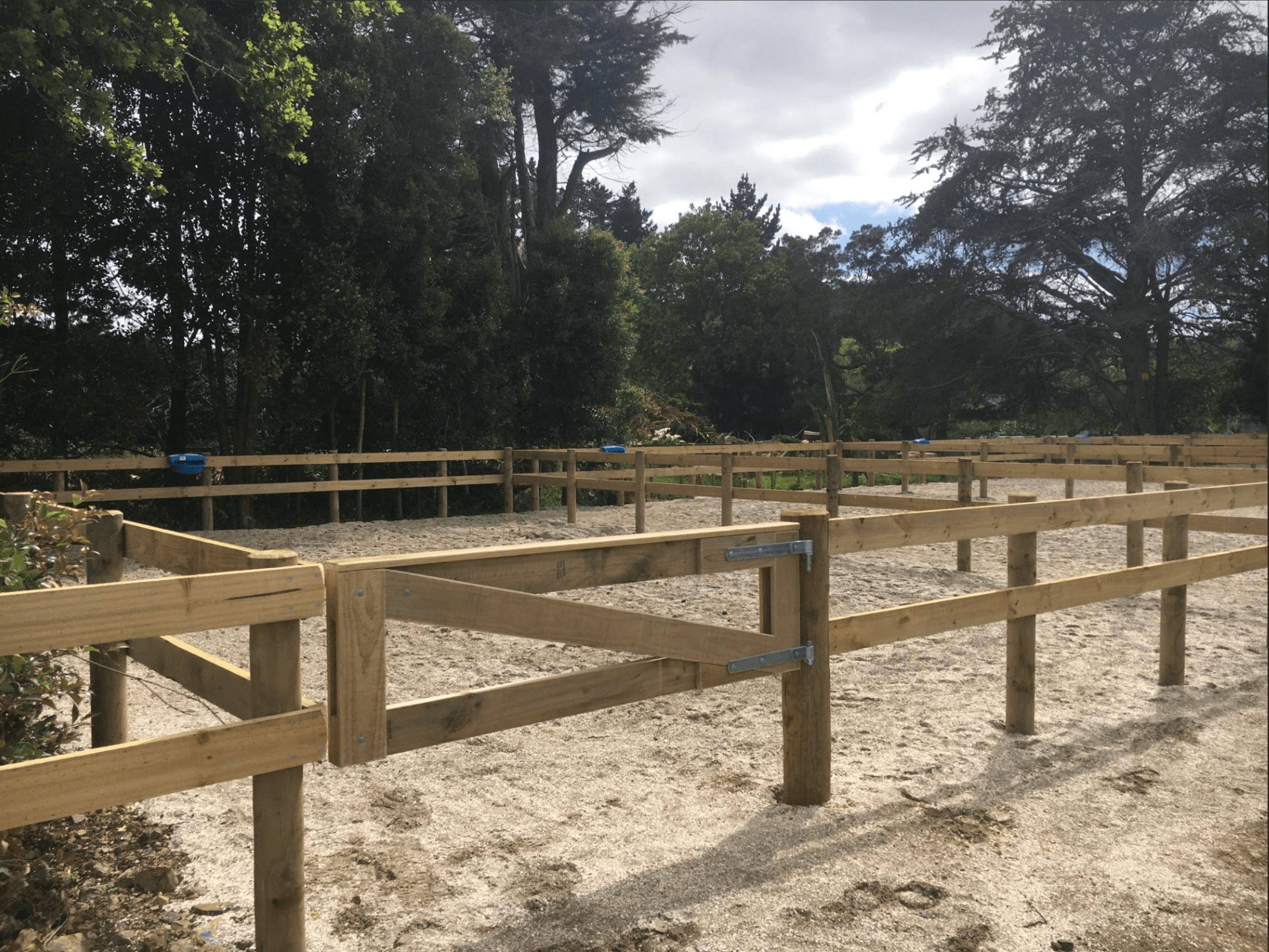 Image of lifestyle block fencing. Fencing by Habraken Fencing, Waikato.
