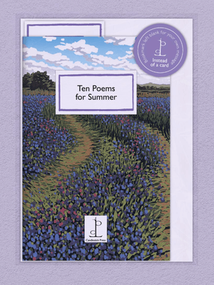 &#039;Instead Of A Card&#039; Poem Pamphlets - Ten Poems for Summer + Room for a message