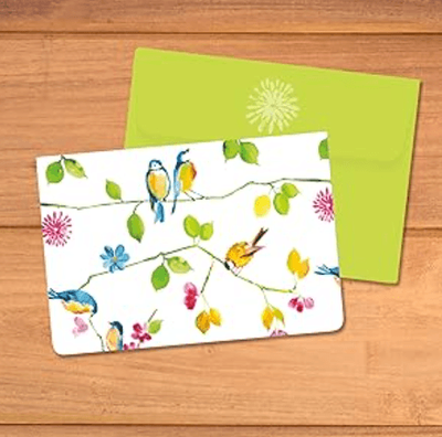 Peter Pauper Press Watercolor Birds  Notecards 14 Pack &amp; Envelopes