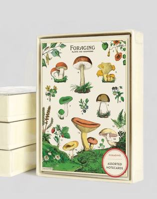 Cavallini &amp; Co Foraging 8 Pack Boxed Cards With Envelopes