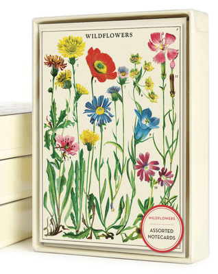 Cavallini &amp; Co Wildflowers 8 Pack Boxed Cards With Envelopes