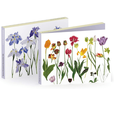 Artpress Dame Elizabeth Blackadder RA Tulips &amp; Irises 6 Pack Notecards