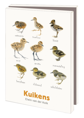 Bekking &amp; Blitz Small Notecard Folder with Envelopes - Chicks