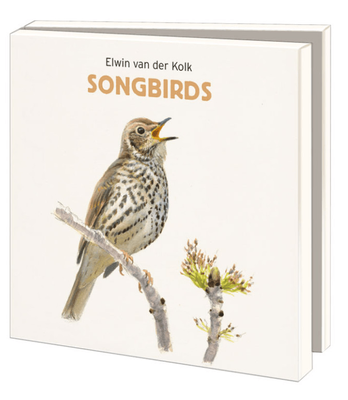 Bekking &amp; Blitz Notecard Folder &amp; Envelopes Songbirds  2 each of 5 designs