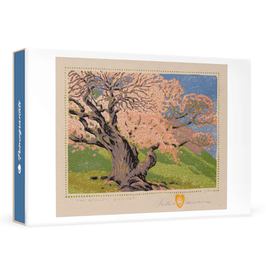 Pomegranate Bauman Bishops Apricot SMALL Boxed Notecards