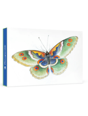 Pomegranate Butterfly Blank SMALL Boxed Cards