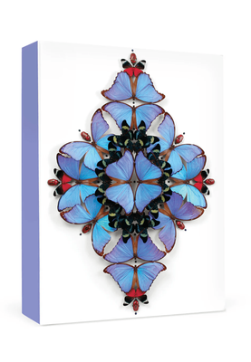 Pomegranate Christopher Marley: Sinfonietta SMALL Boxed Cards