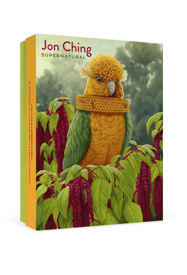 Pomegranate Jon Ching: Supernatural Boxed Blank Notecard Assortment